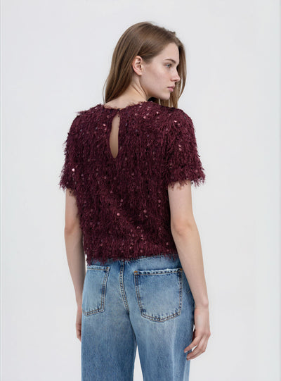 T-shirt crop con paillettes e piumette