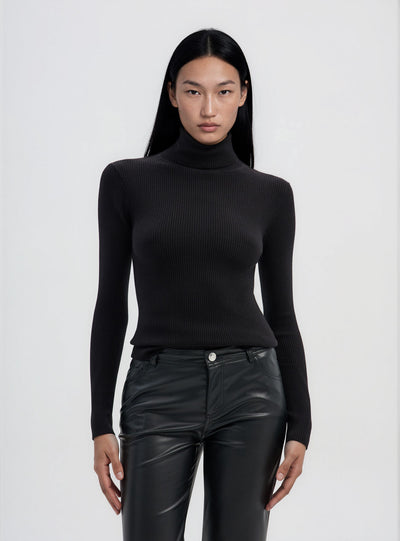 Solid colour ribbed turtleneck sweater
