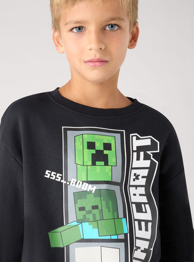 Felpa con stampa Minecraft®