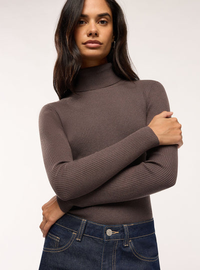 Solid colour ribbed turtleneck sweater