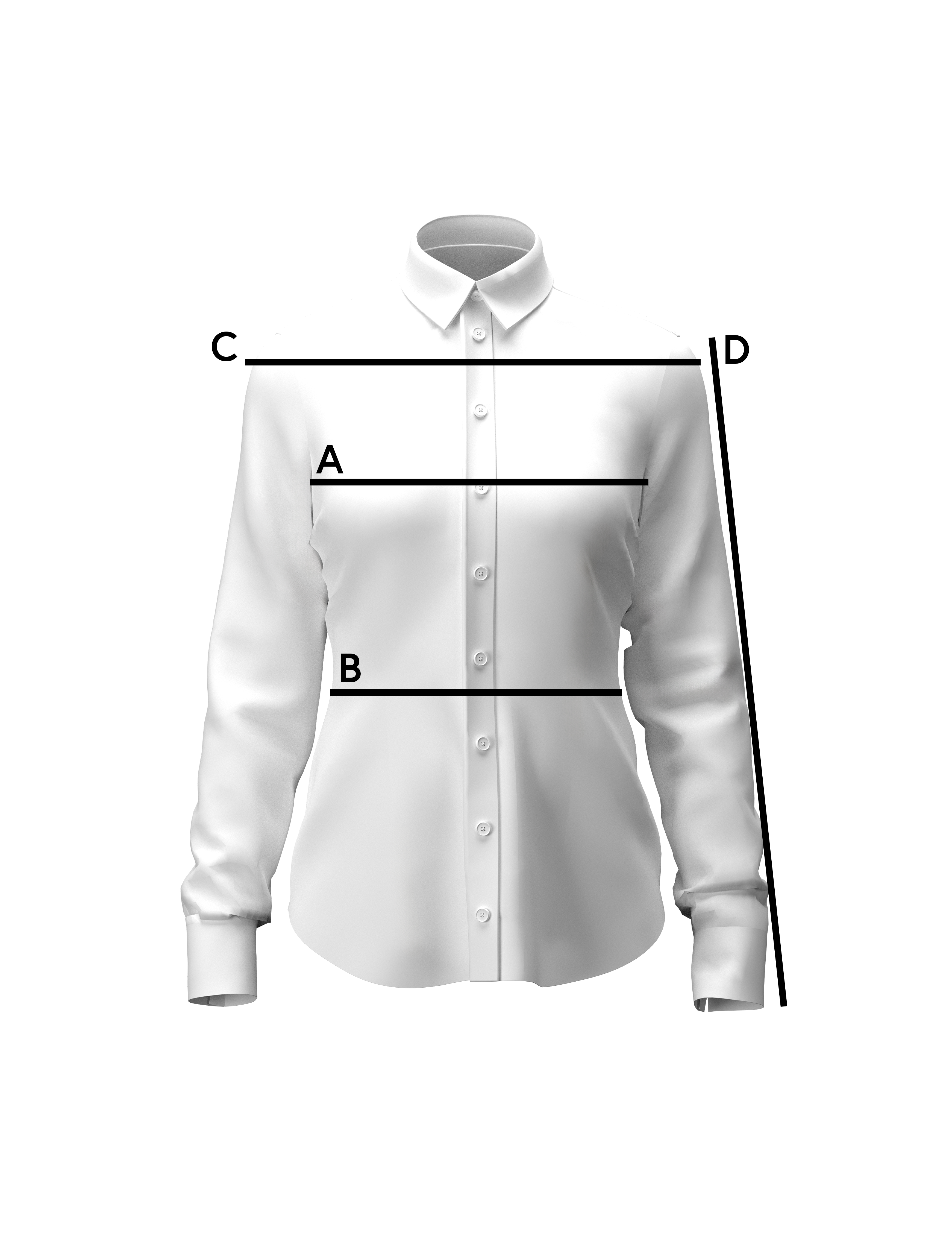 Schema delle misure - Blusa Donna