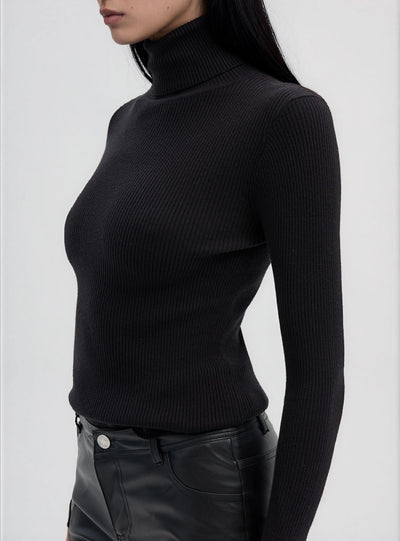 Solid colour ribbed turtleneck sweater
