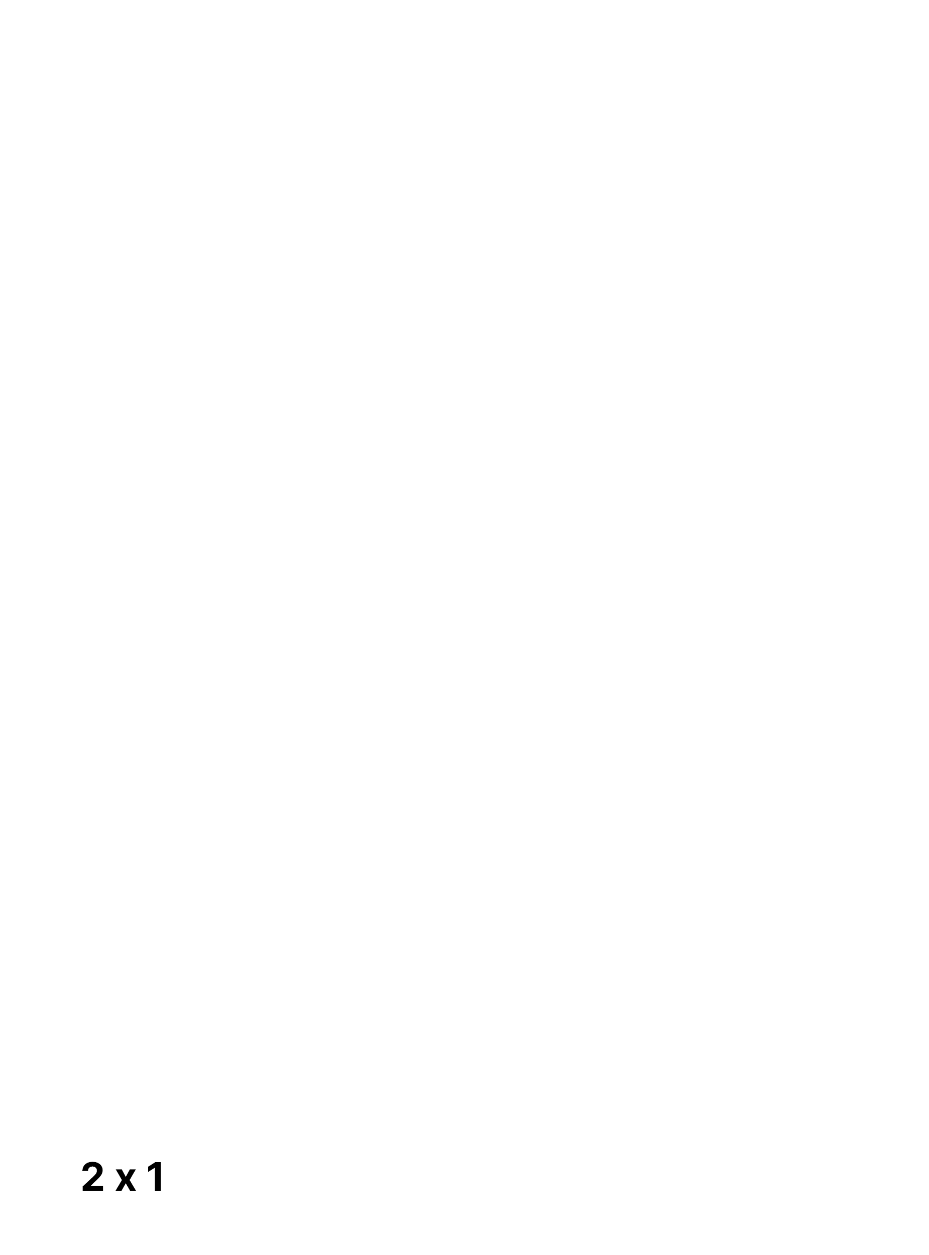 2x1