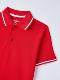 Camiseta manga corta Niño Terranova