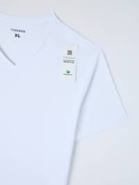 T-Shirt MC Herren Terranova