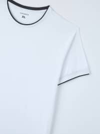 T-Shirt MC Uomo Terranova