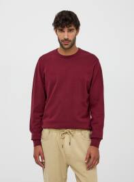 Maglia Uomo Terranova