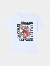 T-Shirt MC Homme Terranova