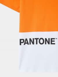 T-Shirt MC Damen Terranova