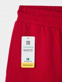 Pantalons Homme Terranova