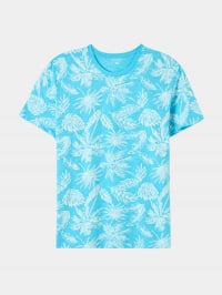 T-Shirt MC Homme Terranova