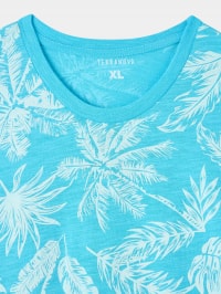 T-Shirt MC Homme Terranova