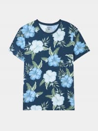 T-Shirt MC Homme Terranova