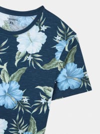 T-Shirt MC Homme Terranova