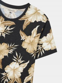 T-Shirt MC Homme Terranova