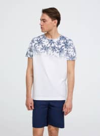 T-Shirt MC Homme Terranova