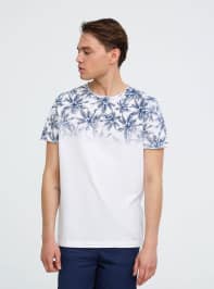 T-Shirt MC Homme Terranova