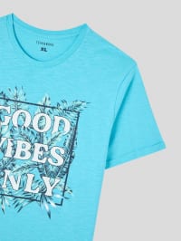 T-Shirt MC Homme Terranova