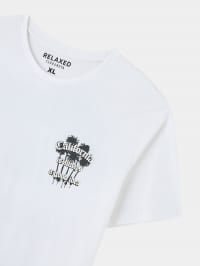 T-Shirt MC Herren Terranova