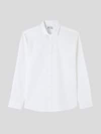 Camicia ML Uomo Terranova