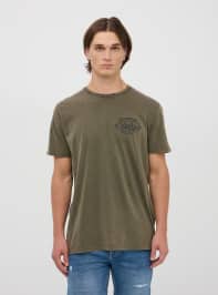 T-Shirt MC Homme Terranova