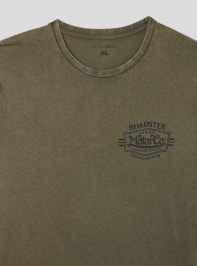 T-Shirt MC Homme Terranova