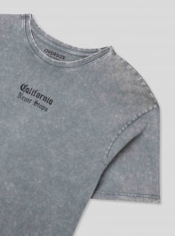 T-Shirt MC Homme Terranova