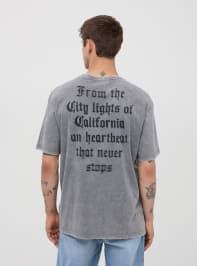 T-Shirt MC Homme Terranova