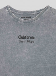 T-Shirt MC Homme Terranova