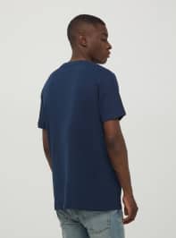 T-Shirt MC Homme Terranova