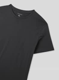 T-Shirt MC Homme Terranova