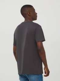 T-Shirt MC Homme Terranova