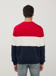 Felpa Uomo Terranova