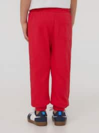 Full-length gym pants Boys Terranova