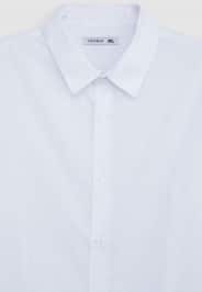 Camicia ML Homme Terranova
