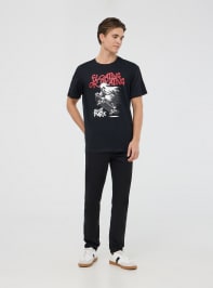 T-Shirt MC Pánské Terranova