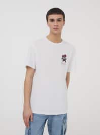 T-Shirt MC Pánské Terranova