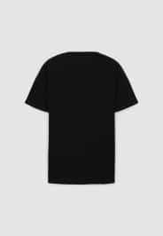 T-Shirt MC Pánské Terranova