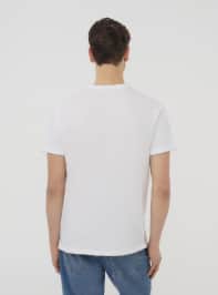 T-Shirt MC Pánské Terranova