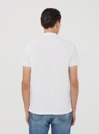 T-Shirt MC Herren Terranova