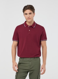 T-Shirt MC Uomo Terranova