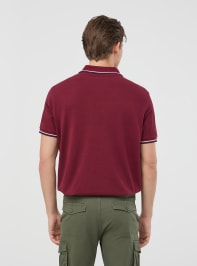 T-Shirt MC Uomo Terranova