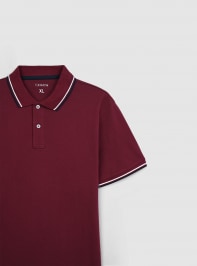 T-Shirt MC Uomo Terranova