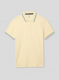 T-Shirt MC Homme Terranova