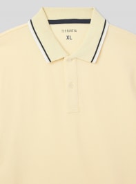T-Shirt MC Homme Terranova