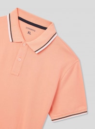Short-sleeved T-shirt Man Terranova