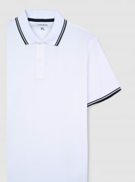 T-Shirt MC Herren Terranova