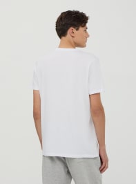 T-Shirt MC Herren Terranova