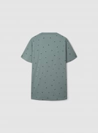 T-Shirt MC Herren Terranova