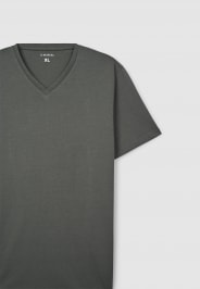 T-Shirt MC Homme Terranova